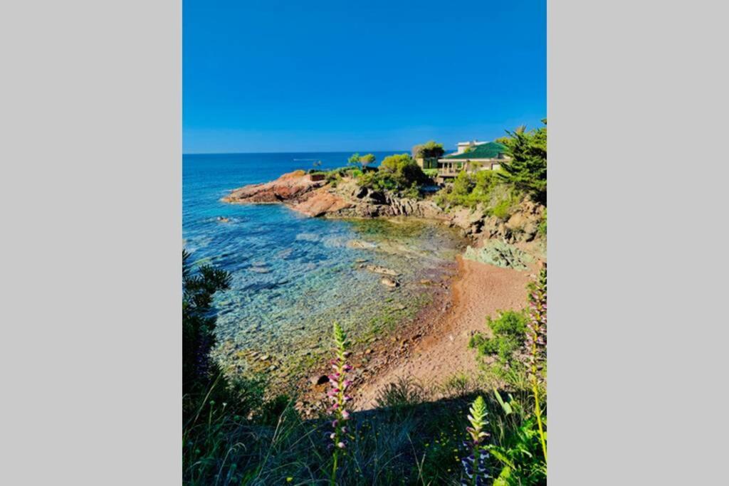 Apartamento Antheor - Vue Exceptionnelle - Refait A Neuf 4 Couchages Saint-Raphaël Exterior foto